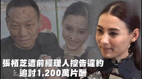娱乐吃瓜吗